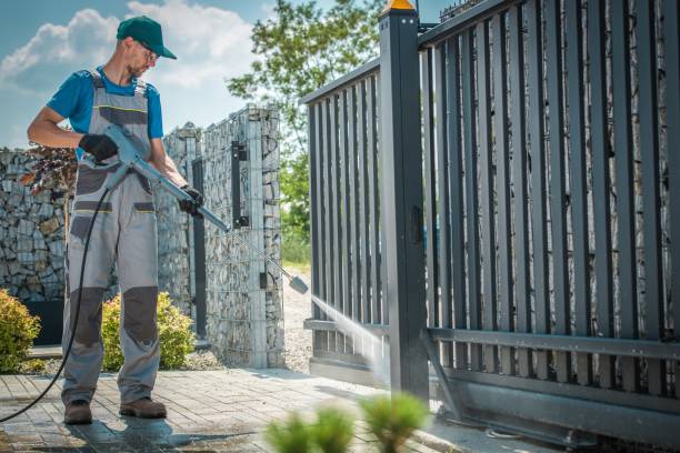 Best Rust Removal  in South Holland, IL